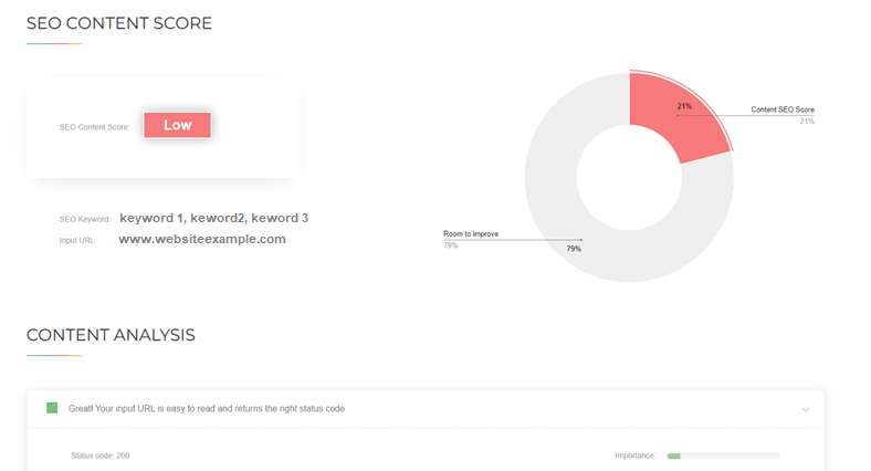 SEO on page report